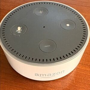 Amazon Echo Dot - Gray and White
